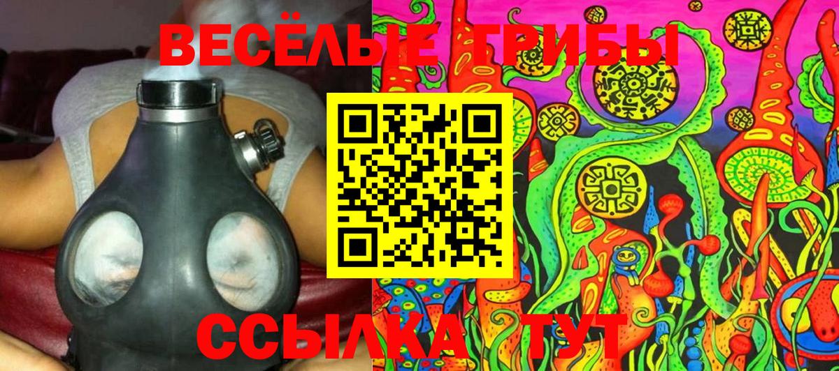 Псилоцибиновые грибы Psilocybe  Вход с VPN  Старый Оскол 